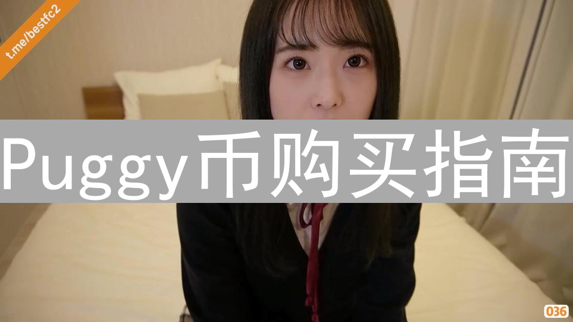 Puggy币购买指南：解锁数字萌宠世界，新手入门必备教程