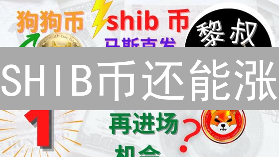 SHIB币还能涨？深度剖析柴犬币与传统金融的爱恨情仇！