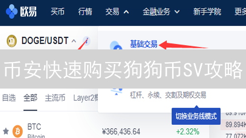 币安快速购买狗狗币SV攻略：新手必看！小心这些坑！