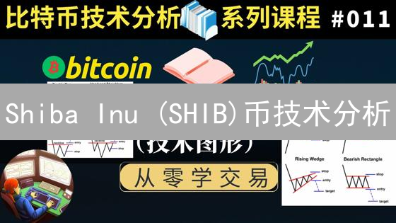 Shiba Inu (SHIB)币技术分析：图表模式与指标应用