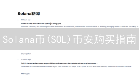 Solana币(SOL)币安购买指南：新手也能轻松上手？