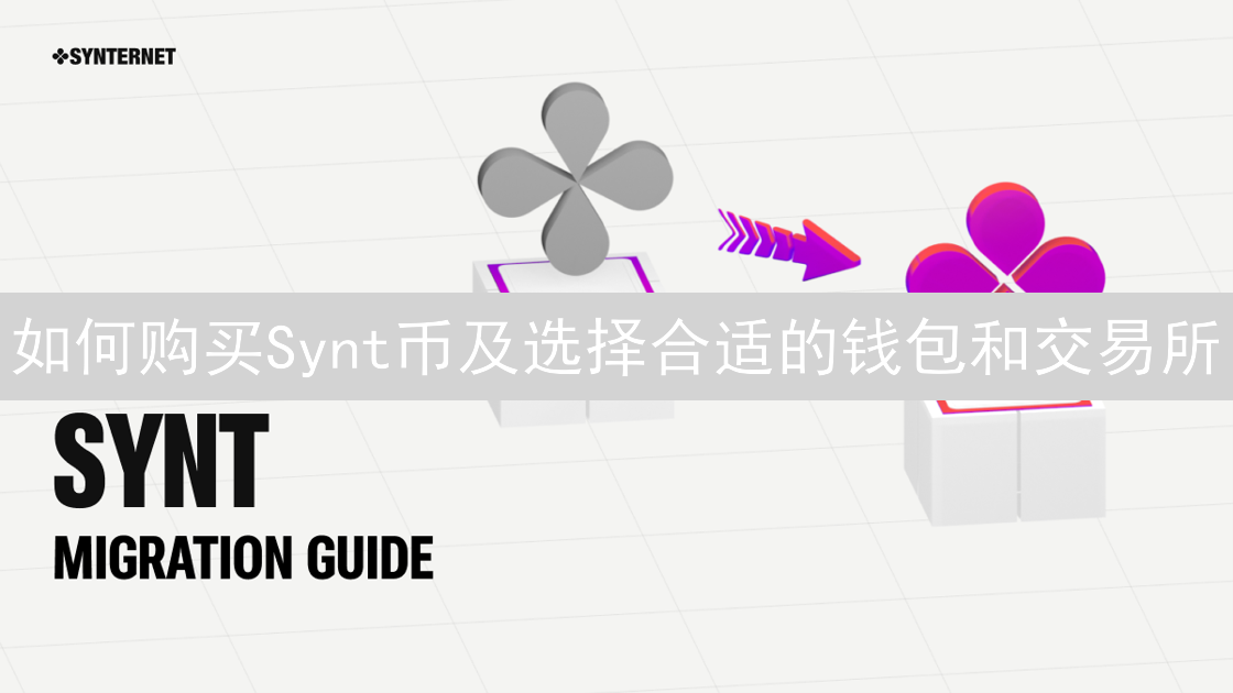 如何购买Synt币及选择合适的钱包和交易所