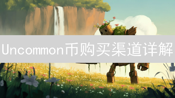 Uncommon币购买渠道详解：安全便捷获取指南