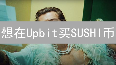 想在Upbit买SUSHI币？手把手教你！🔥新手必看教程