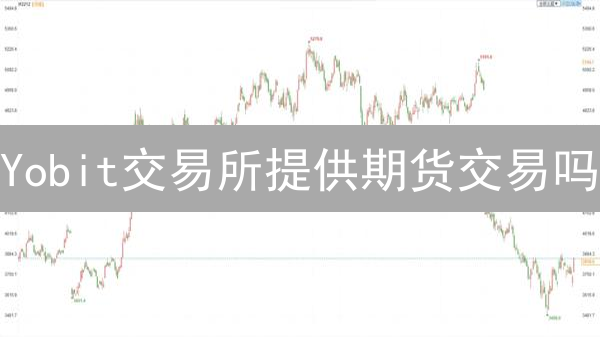 Yobit交易所提供期货交易吗？深度分析与替代方案！