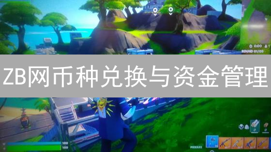 ZB网币种兑换与资金管理：新手深度操作指南