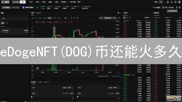 eDogeNFT(DOG)币还能火多久？2024年投资价值深度分析！