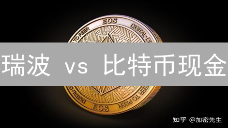 瑞波 vs 比特币现金：谁才是加密支付的未来？深度解析！